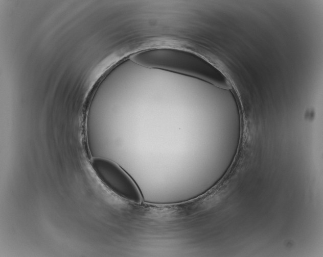 X0000114610997200911171031