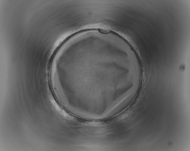 X0000114610998200911171031