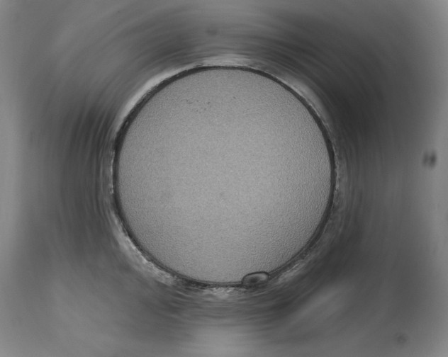 X0000114611000200911171031