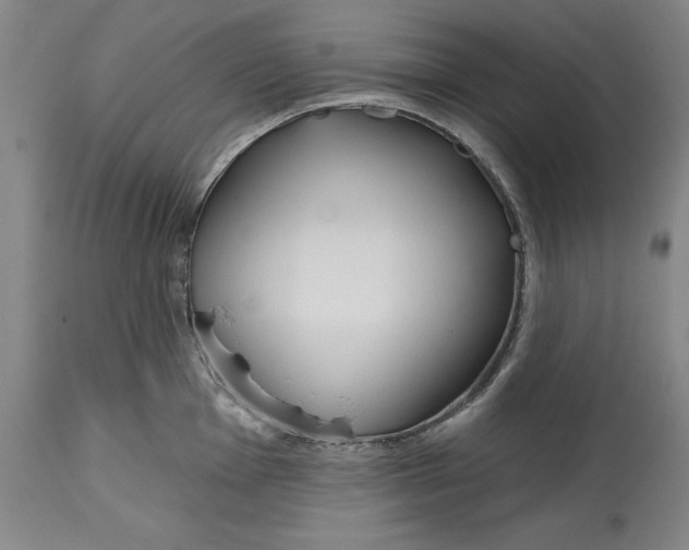 X0000114611001200911171031