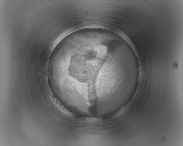 X0000114611002200911171031