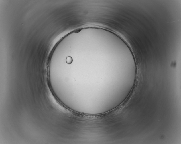 X0000114611003200911171031