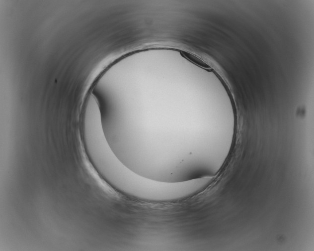 X0000114611005200911171031