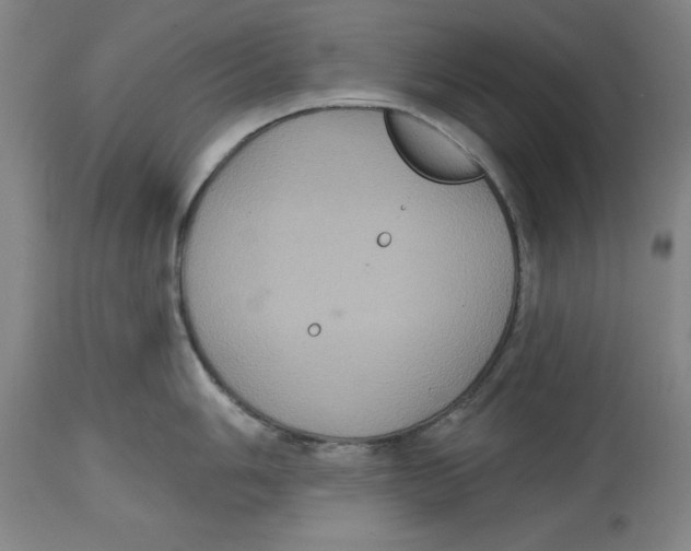 X0000114611006200911171031