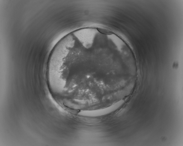 X0000114611007200911171030