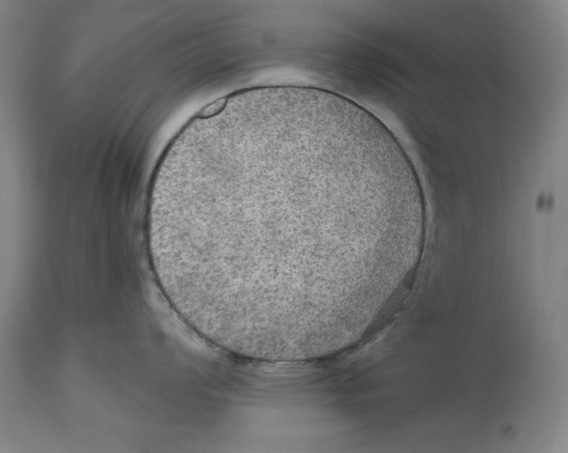 X0000114611008200911171030