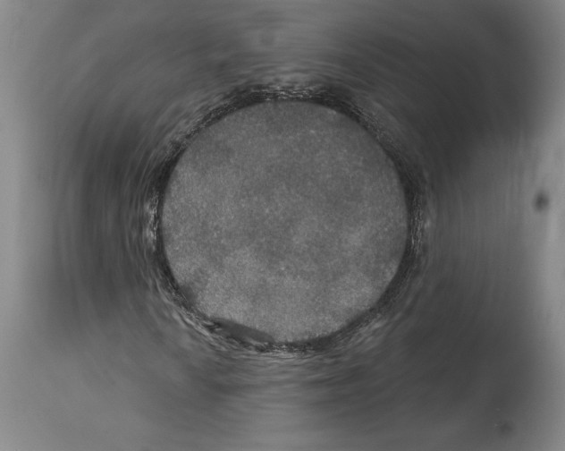 X0000114611010200911171030