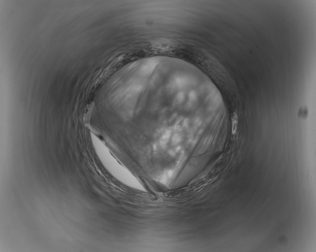 X0000114611011200911171030