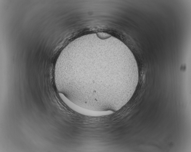 X0000114611012200911171030