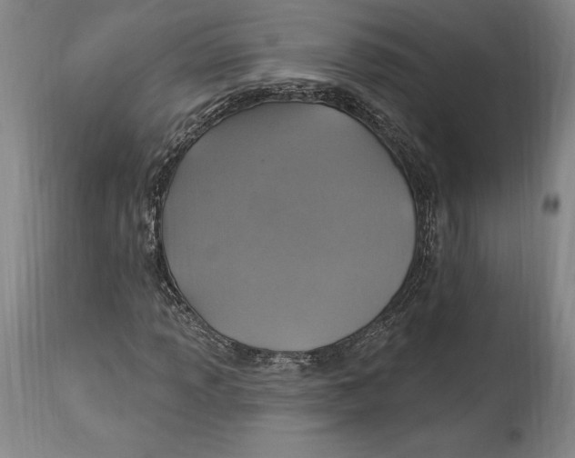 X0000114611013200911171030