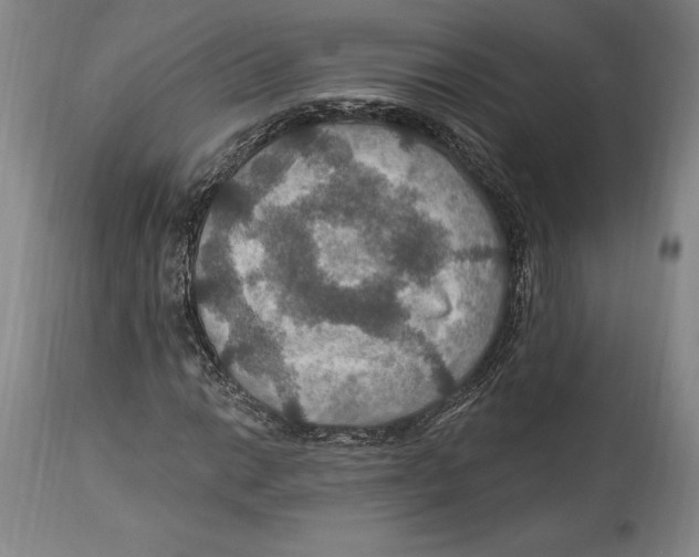 X0000114611014200911171030