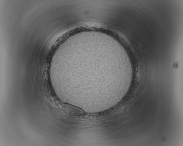 X0000114611016200911171030