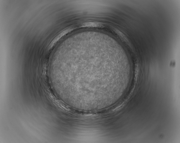 X0000114611017200911171030