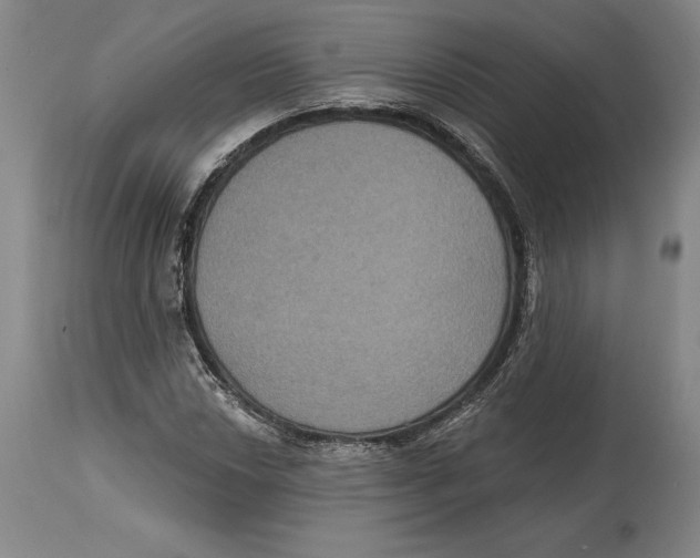 X0000114611018200911171030