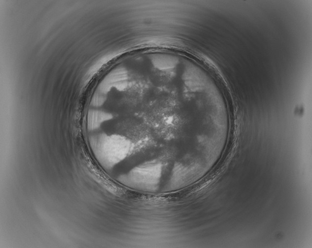 X0000114611019200911171030