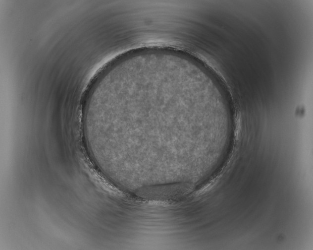 X0000114611021200911171030