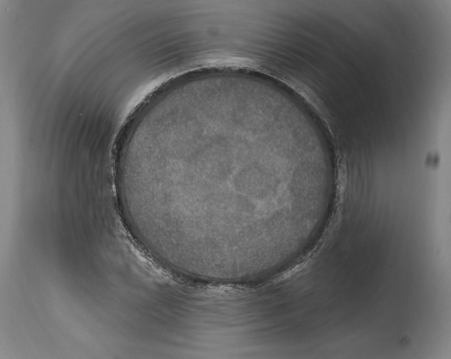 X0000114611022200911171030