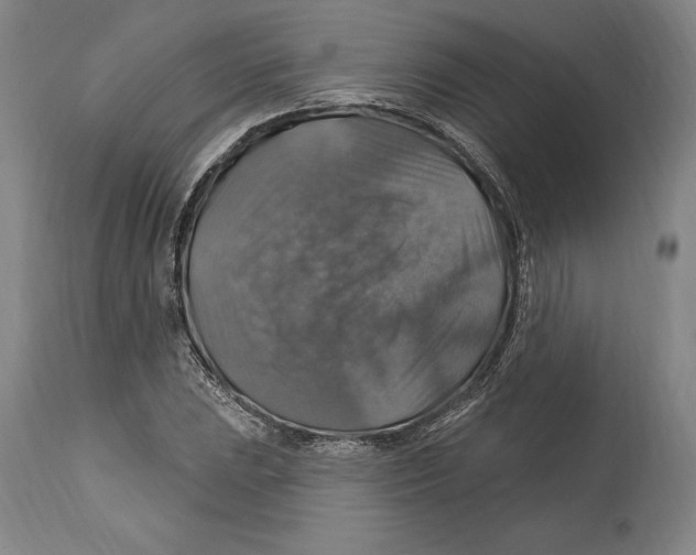 X0000114611023200911171030