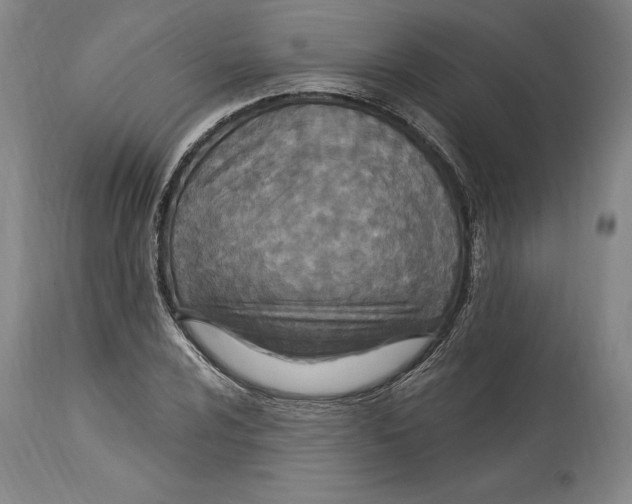 X0000114611024200911171030