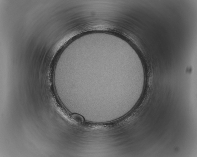 X0000114611026200911171030