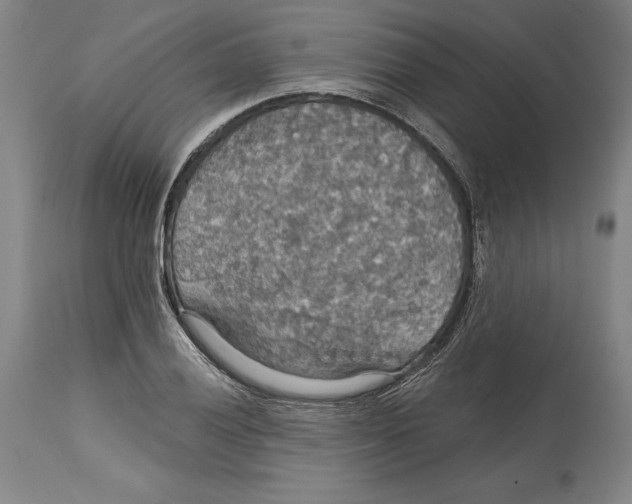 X0000114611028200911171030