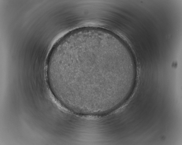 X0000114611029200911171030