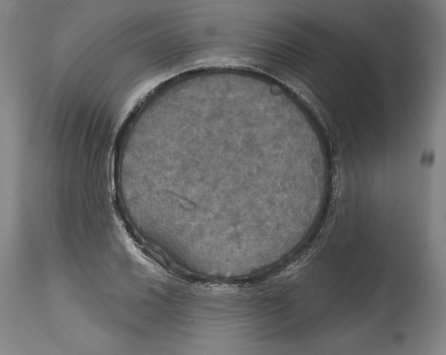 X0000114611030200911171030