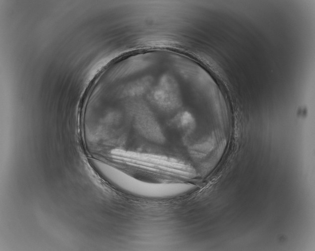 X0000114611031200911171030