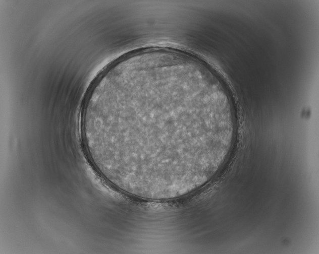 X0000114611032200911171030