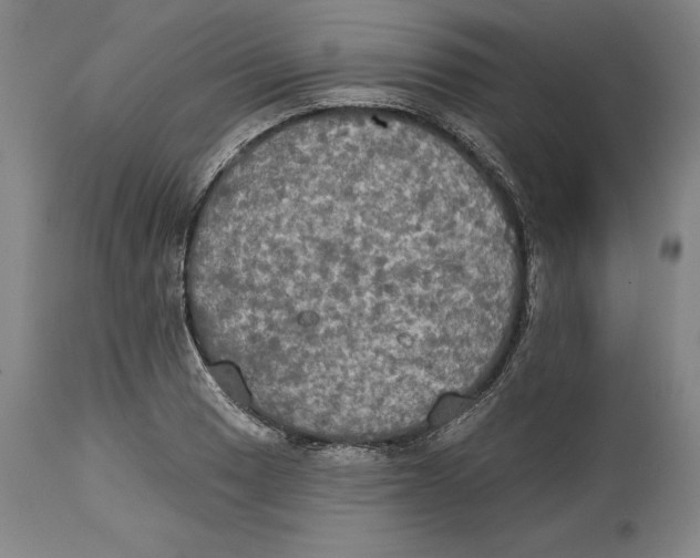 X0000114611033200911171030