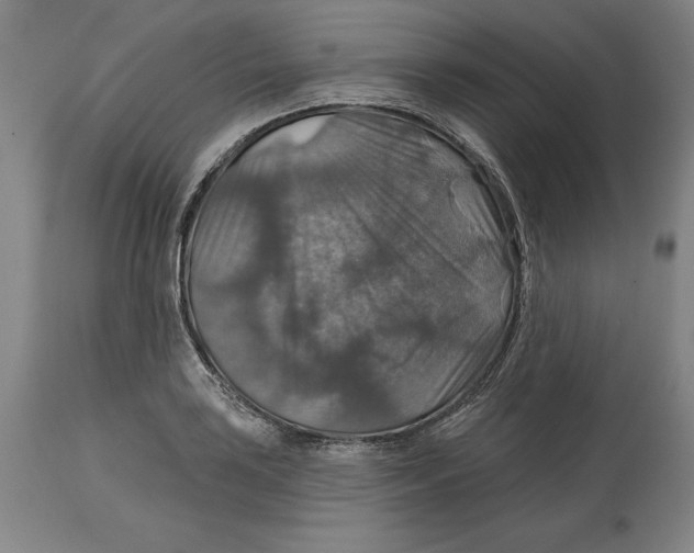 X0000114611035200911171030