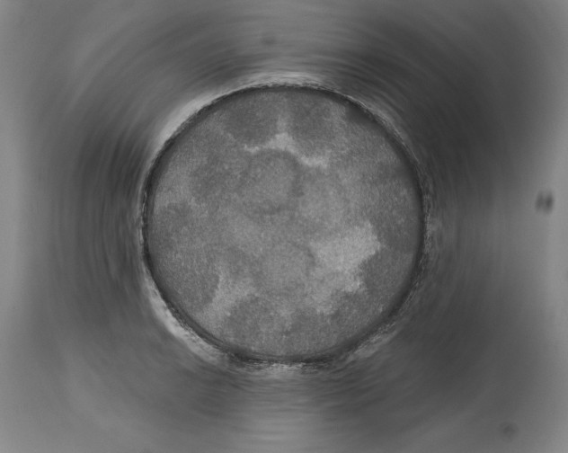 X0000114611038200911171030