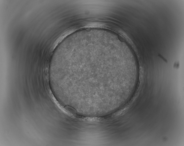 X0000114611041200911171030