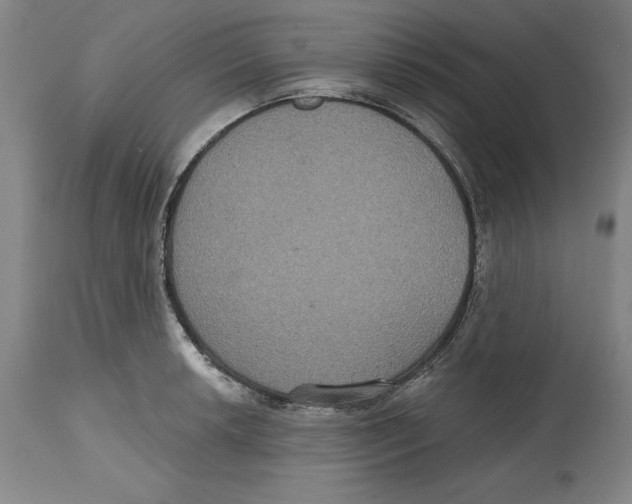 X0000114611042200911171030