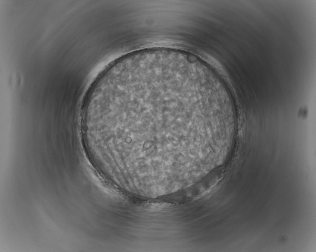 X0000114611043200911171030