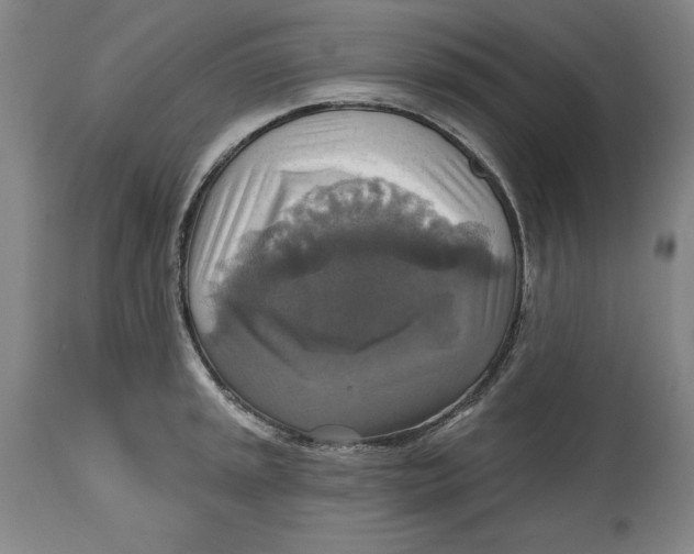 X0000114611045200911171030