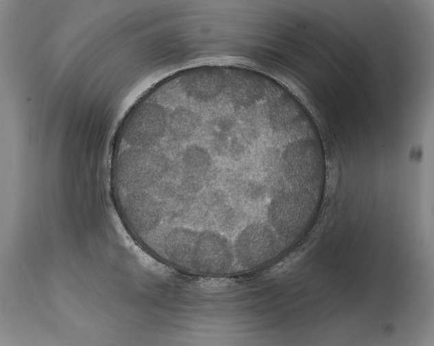 X0000114611046200911171030