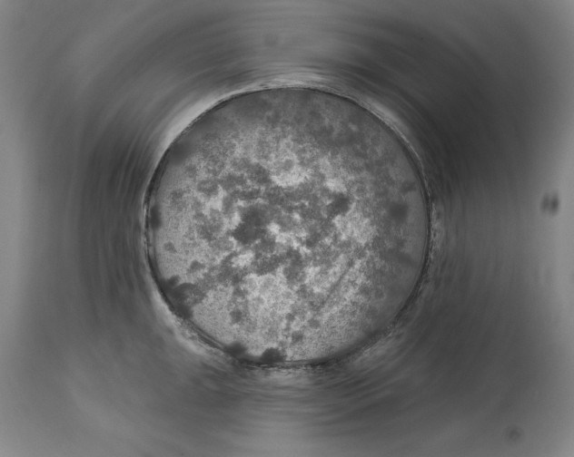 X0000114611047200911171030