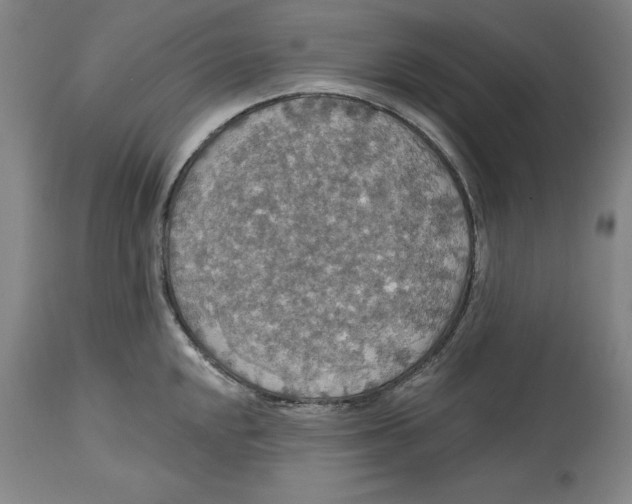 X0000114611048200911171030