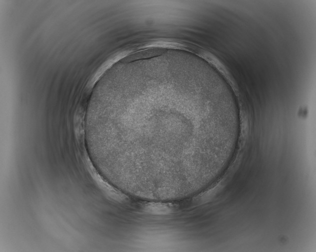 X0000114611049200911171030