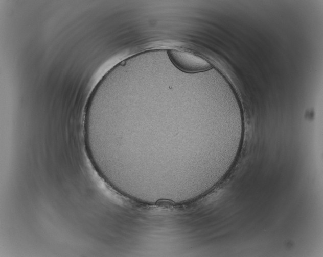 X0000114611050200911171030