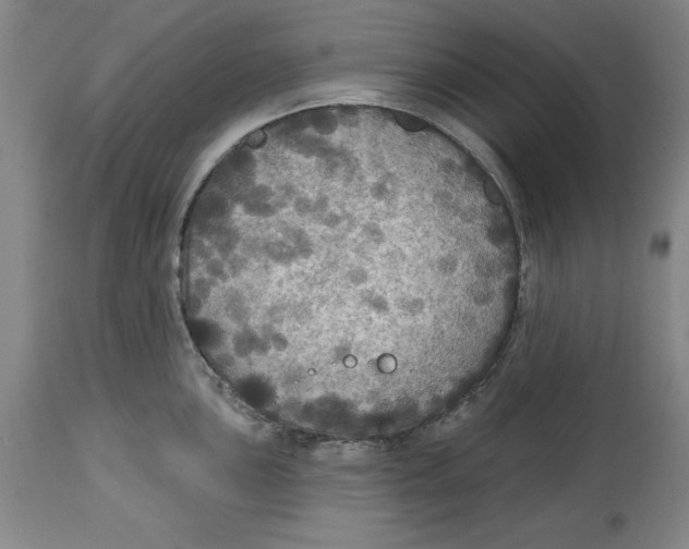 X0000114611051200911171030