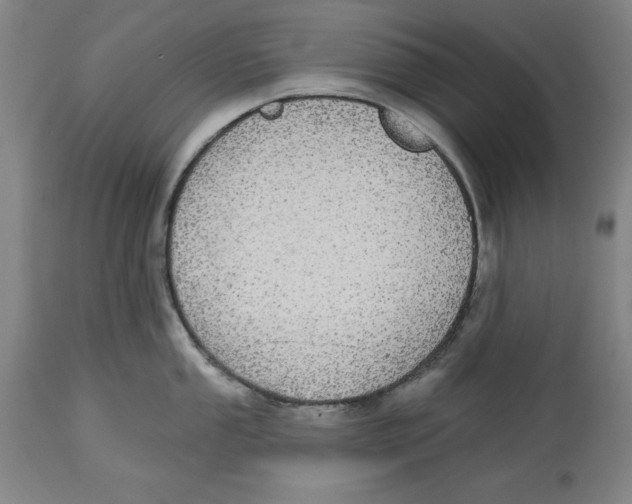 X0000114611053200911171030