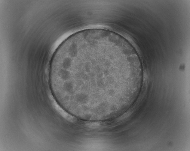 X0000114611054200911171030