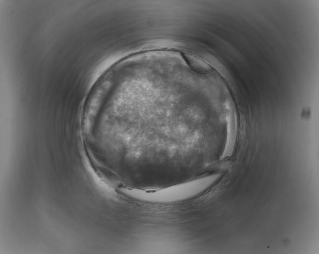 X0000114611055200911171030