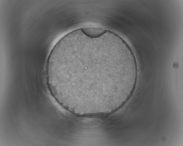 X0000114611056200911171030