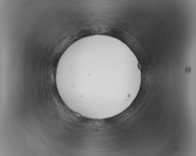 X0000114611058200911171030