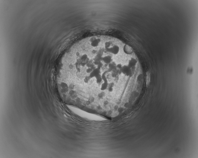 X0000114611059200911171030