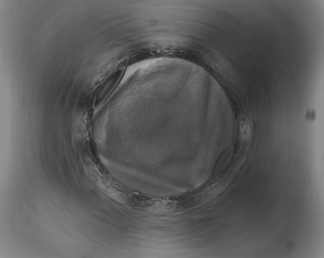 X0000114611060200911171030