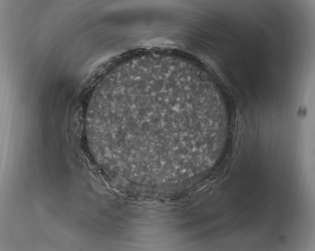 X0000114611063200911171030